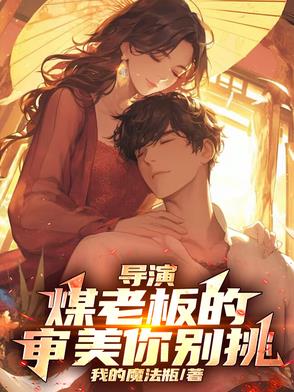 导演：煤老板的审美你别挑小说阅读